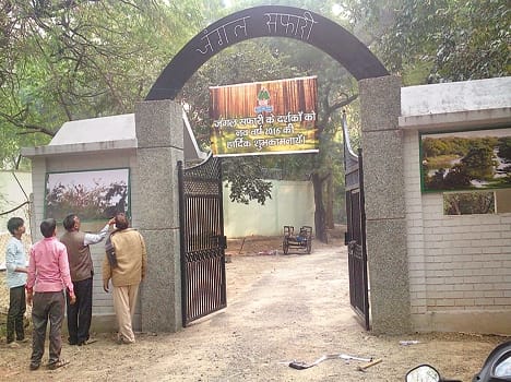 zoo : open its jungle safari in the new year